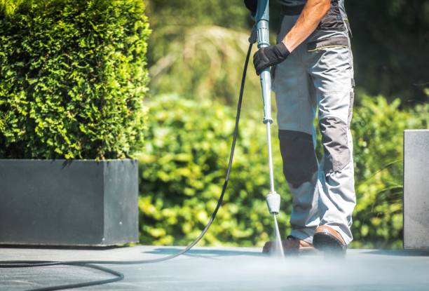 Best Pool Deck Cleaning  in Whittingham, NJ