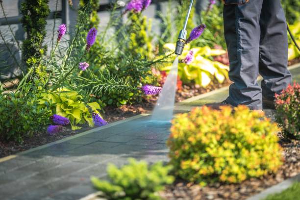 Best Gutter Cleaning  in Whittingham, NJ