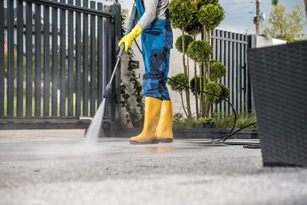 Best House Exterior Washing  in Whittingham, NJ